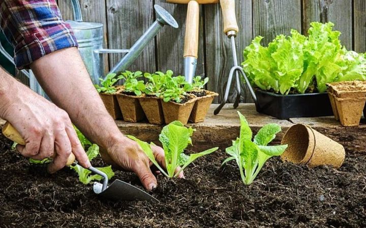 В Славяносербском районе в мужчину ударила молния, когда он работал в огороде