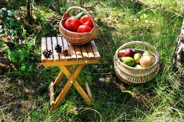 Летние бизнесмены: россиянам рассказали, как законно дачники могут продавать летний урожай и за что можно получить штраф