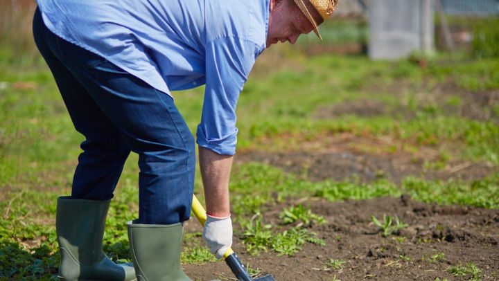 Надбавки к пенсиям сельским пенсионерам в ЛНР: кто может получить и что для этого необходимо