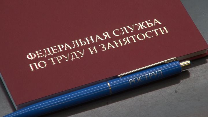 Роструд запустил сервис по урегулированию конфликтов между работником и начальством: как жителям ЛНР им воспользоваться