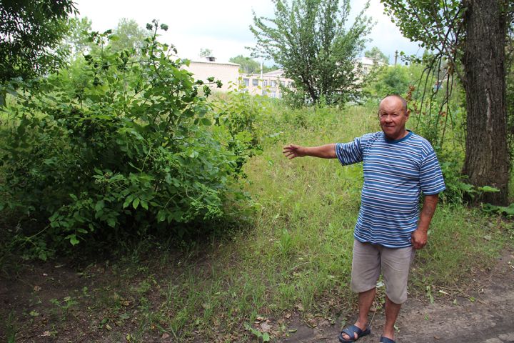 «В траве заблудиться можно!»: Краснодон борется с зарослями вокруг домов