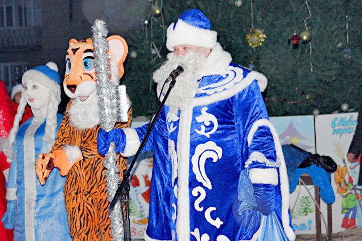 На елках зажгли новогодние огни