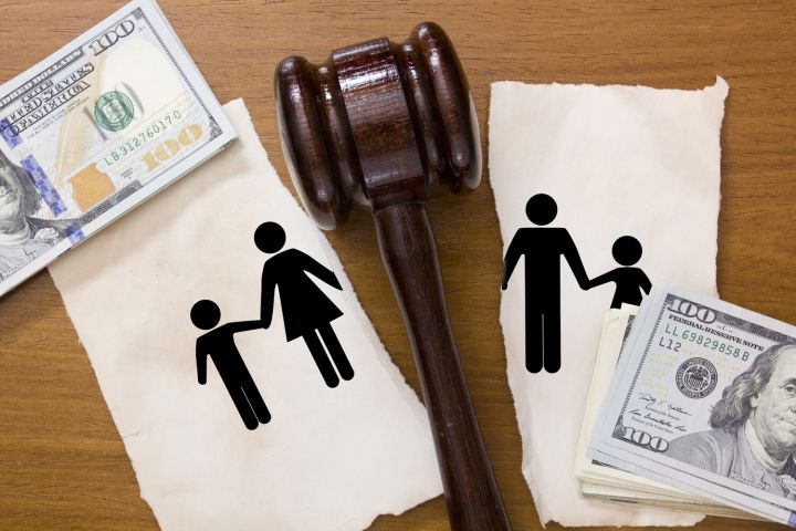 В ЛНР отцы-одиночки смогут потребовать алименты с матерей детей