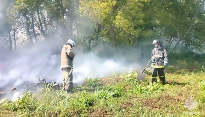 В Краснодонском районе пожаром уничтожено 50 га пшеничного поля