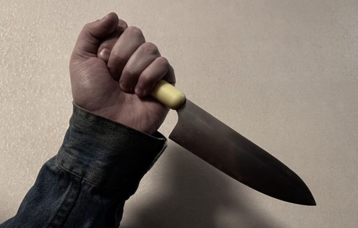 Житель Алчевска в ходе застолья чуть не зарезал своего товарища