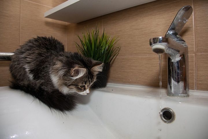 Один из городов ЛНР остался без воды из-за грозы