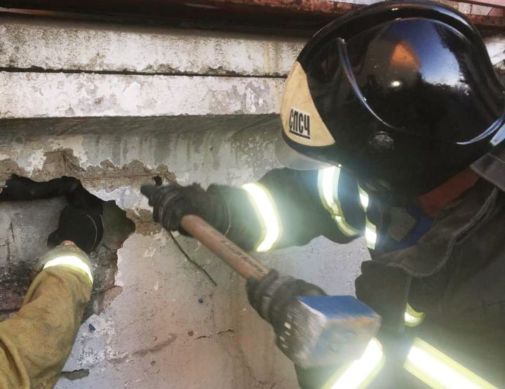 В Луганске спасатели вытащили щенка из бетонной щели