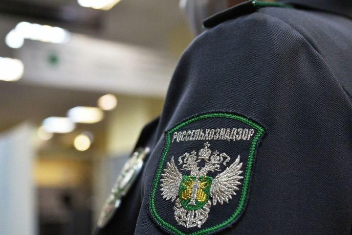 В ЛНР специалисты Россельхознадзора выявили нарушения по содержанию животных на одной из баз отдыха