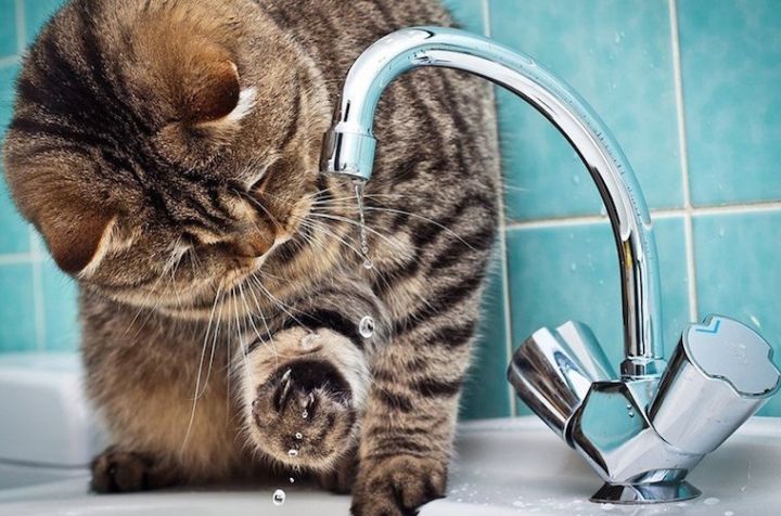 Свердловск и некоторые поселки остались без воды из-за аварии