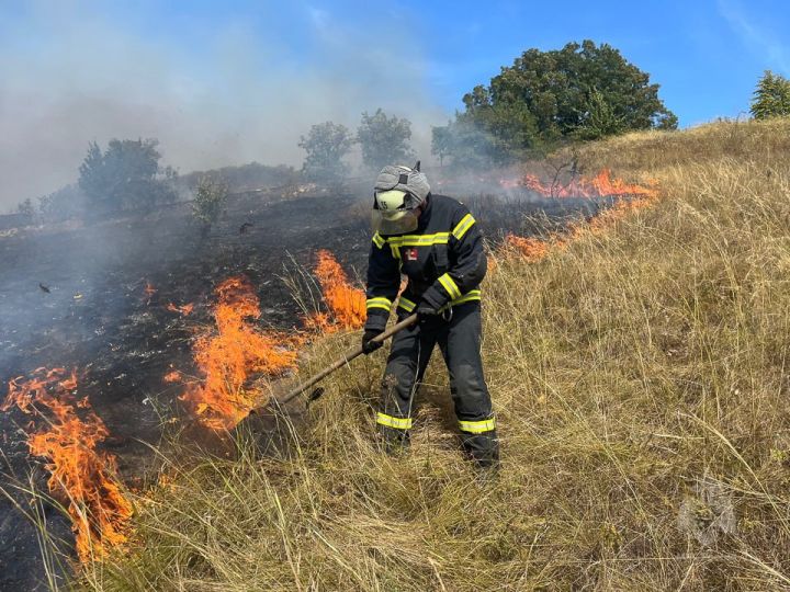 В одном из сёл ЛНР спасатели ликвидировали возгорание сухотравья