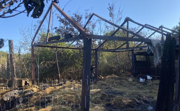 За семь дней в Свердловске произошло девять пожаров: жертв удалось избежать