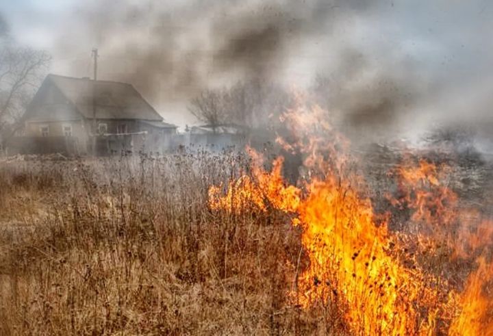 В районе Луганска горит сухая трава на поле