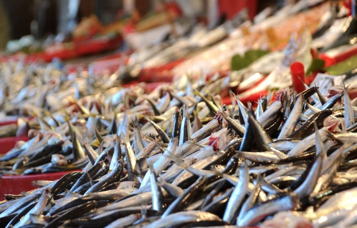 В ЛНР начнут ввозить рыбу из Турции