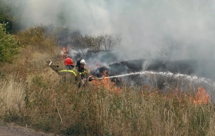 В ЛНР за выходные выгорело больше 300 гектар растительности