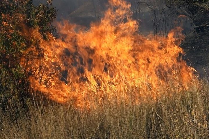 В районе Луганска пожарные ликвидировали возгорание сухой травы