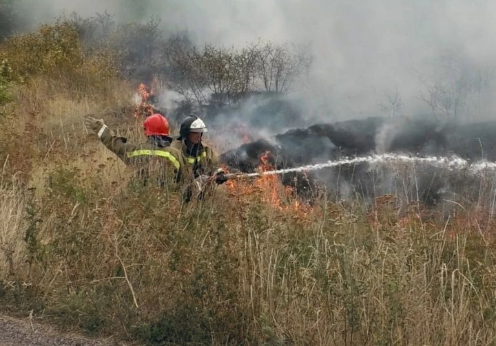 В Свердловске за неделю горели кухня, автомобиль, трава и мусор