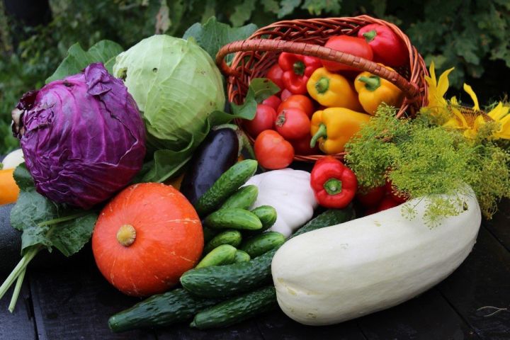 В Роспотребнадзоре перечислили продукты, которые нужно включить в рацион осенью