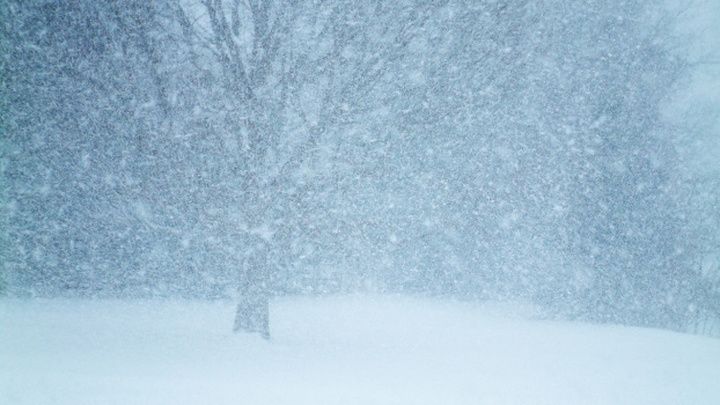 Снегопад идет в ЛНР