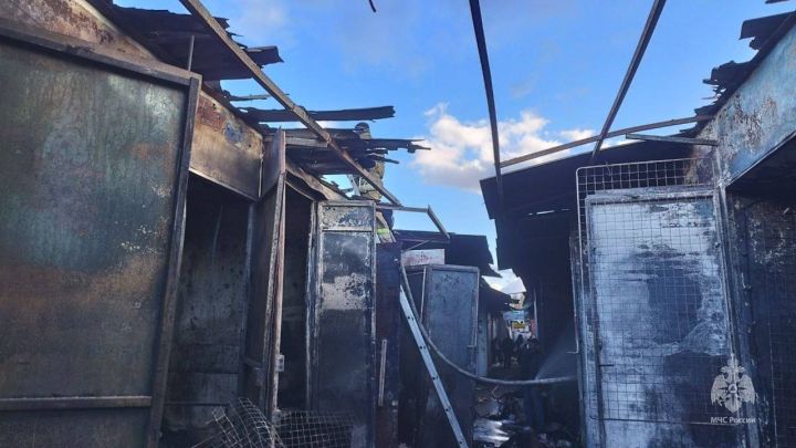 В Алчевске горели 20 ларьков на рынке – МЧС