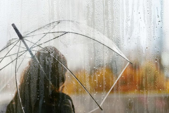 В ЛНР будет дождливо 20 октября