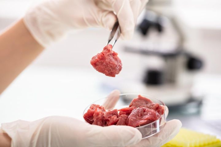 В ЛНР в мясе из Аргентины нашли сальмонеллу