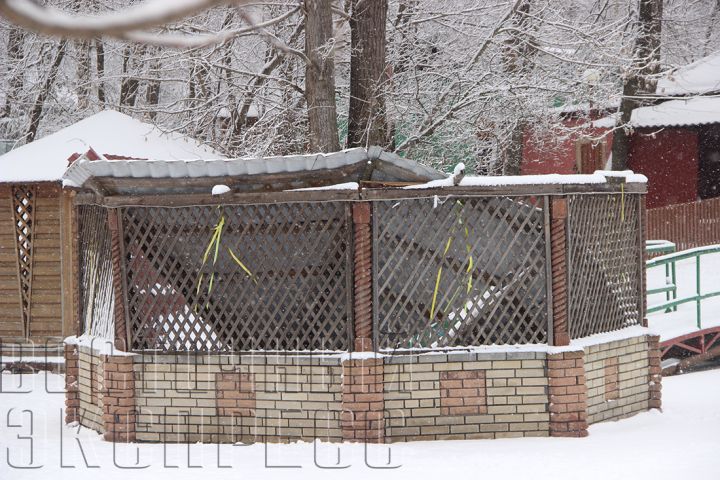 Всякая погода – благодать?