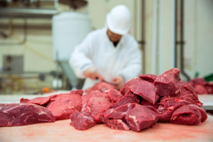 В России наблюдается дефицит многих видов мяса из-за африканской чумы