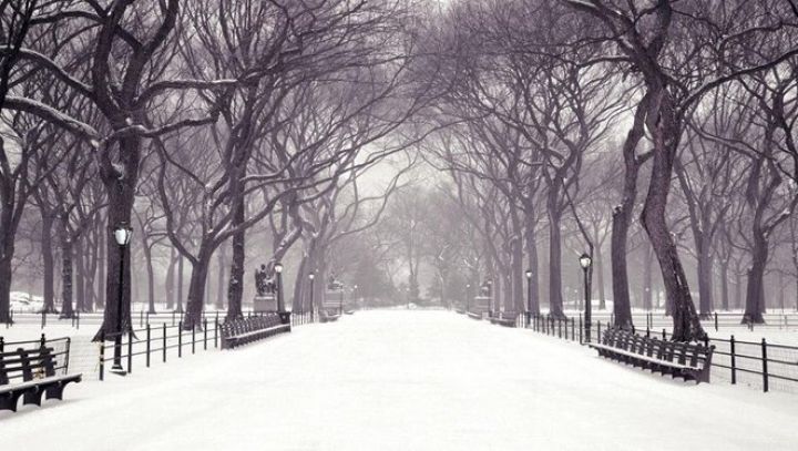 Неустойчивый характер погоды ожидается в ЛНР в ближайшие дни