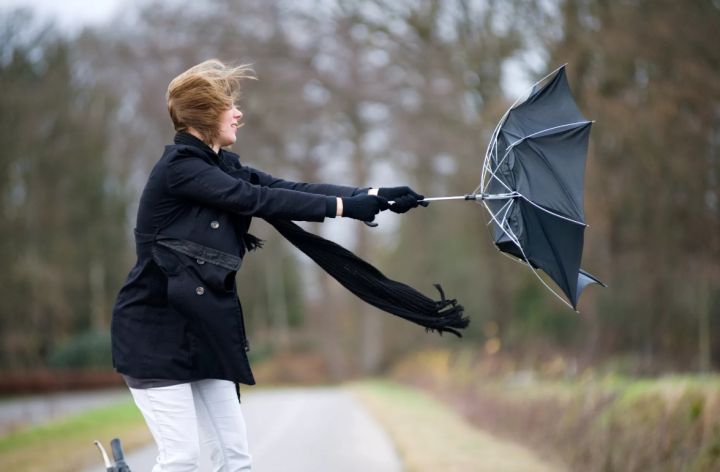 Больше 20 тысяч человек без света, нет связи и повалило деревья: последствия урагана 27 ноября в ЛНР