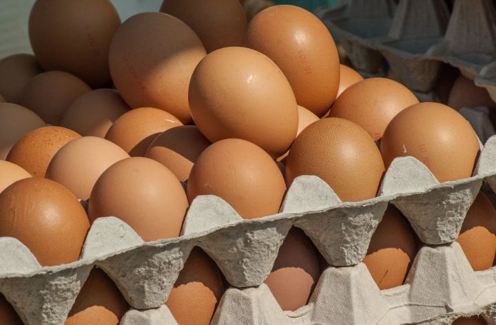 В России из-за резкого подорожания яйца начали продавать поштучно
