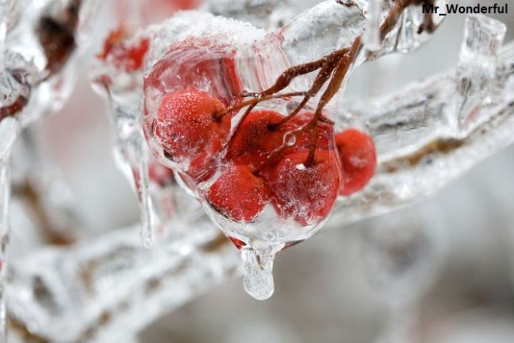 «Плюсы» в ЛНР сменит морозная погода