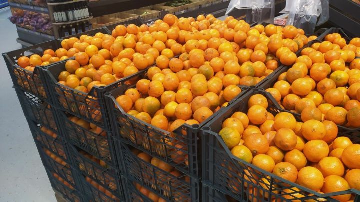 Мандарины от 80 р, бананы от 135: продукцию ростовского «АГРОМолла» представят на луганской ярмарке
