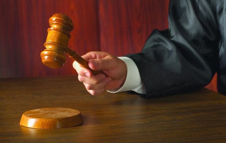 Луганчанин проведёт за решёткой 14 лет за зверское убийство престарелой матери