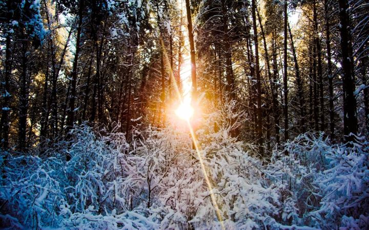 Резкие перепады температуры: в ЛНР 17 января обещают мороз до -12 и ветер