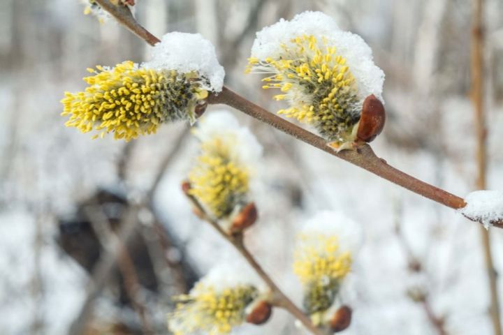 Днем - оттепель, ночью - мороз: прогноз погоды в ЛНР на ближайшие дни