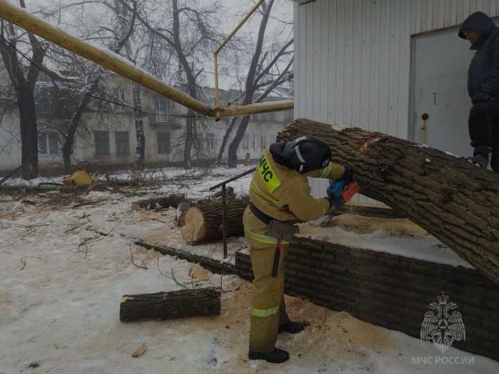 Обледеневшее дерево упало на газопровод в одном из городов ЛНР и спровоцировало утечку