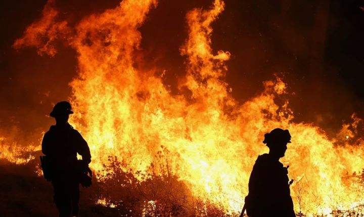 Пожарные ликвидировали возгорание возле аграрного университета в Луганске