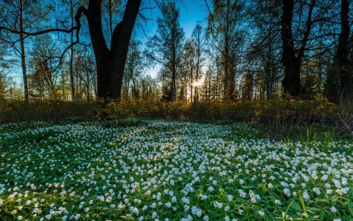 Практически лето: в ЛНР 28 марта ожидается до +17 градусов