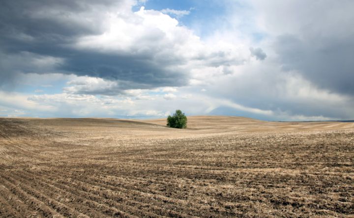 «Портал в преисподнюю»: в Ростовской области часть поля провалилась под землю