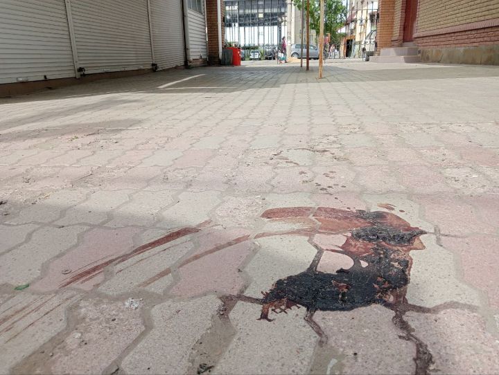 Зверские новости Свердловска: в городе ночью отстреливали и травили бездомных собак, что запрещено законом