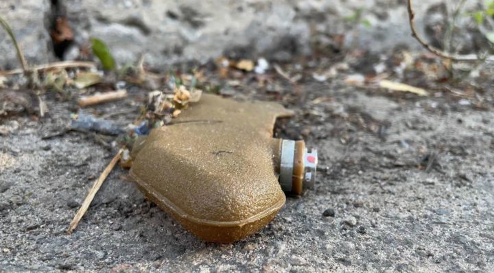 В Донецке погиб мужчина, подорвавшись на мине «Лепесток» во время косьбы травы