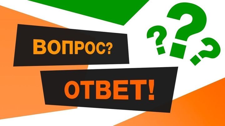 График движения транспорта, обстановка в городах и как пересечь границу: ответы на вопросы свердловчан