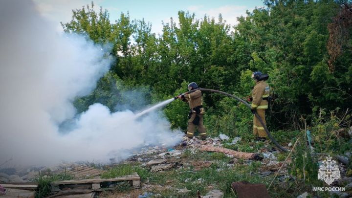 В Луганске пожарные ликвидировали возгорание мусорника