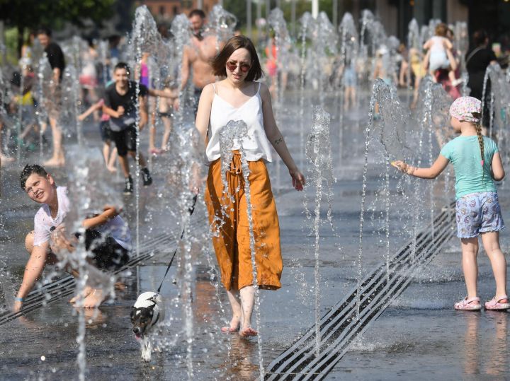Жара и отсутствие осадков снова пришли в ЛНР: прогноз погоды на 11 июня