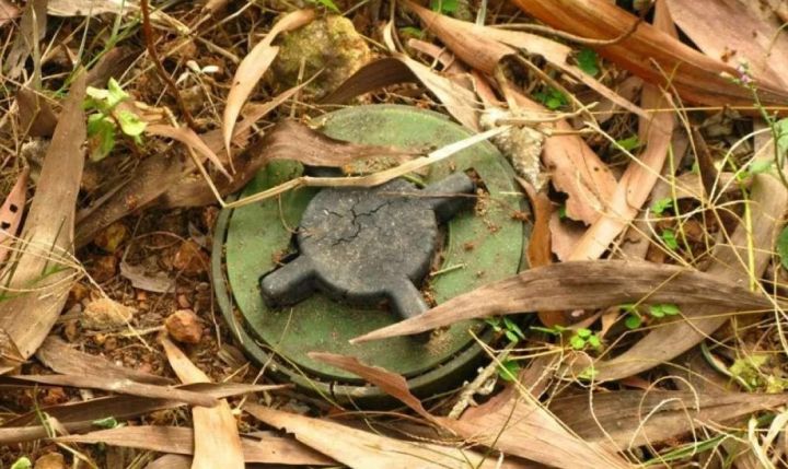 Прогулка обернулась трагедией: житель ЛНР подорвался на неустановленном предмете прям на берегу реки
