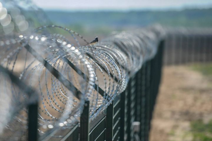 В правительстве Ростовской области рассказали, когда уберут заграждение между Чертково и Меловым