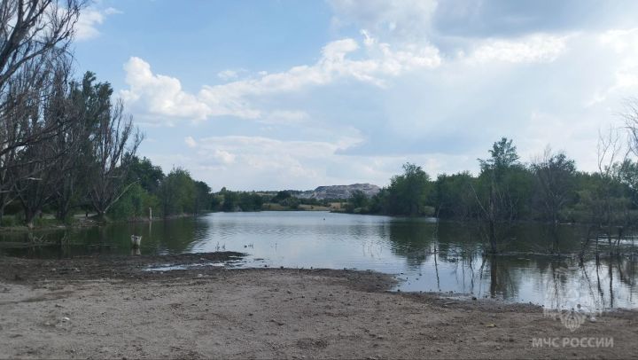 Купание в пруду обернулось трагедией: в Алчевске утонул человек