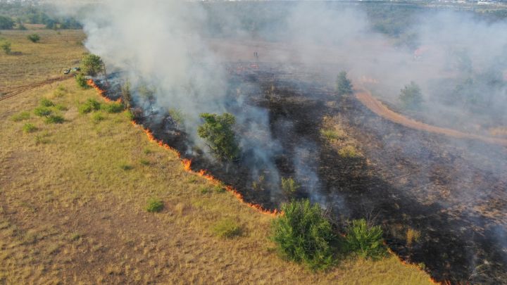 Экстренное погодное предупреждение объявили в ЛНР ещё на два дня: всё из-за высокой температуры