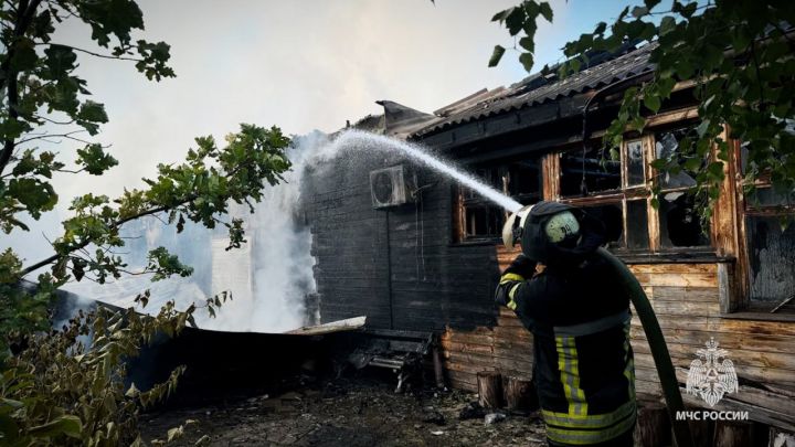 Спасатели тушили в ЛНР крупный пожар: из-за короткого замыкания сгорели хозпостройки и 15 тонн сена