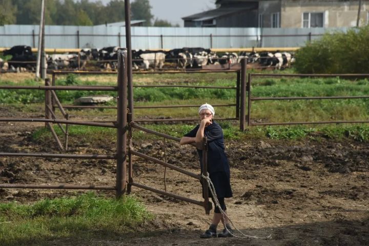 Сельская доплата к пенсии в ЛНР: кто имеет право, сколько составляет и отменяется ли при переезде в город?